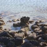 Hamelin Pool Stromatolithen