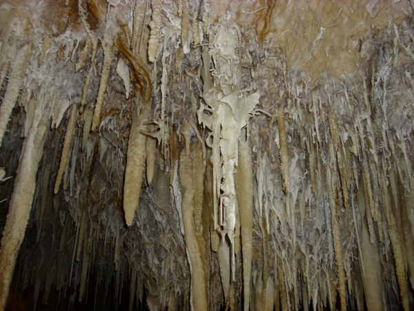 Kalk Juwel Cave