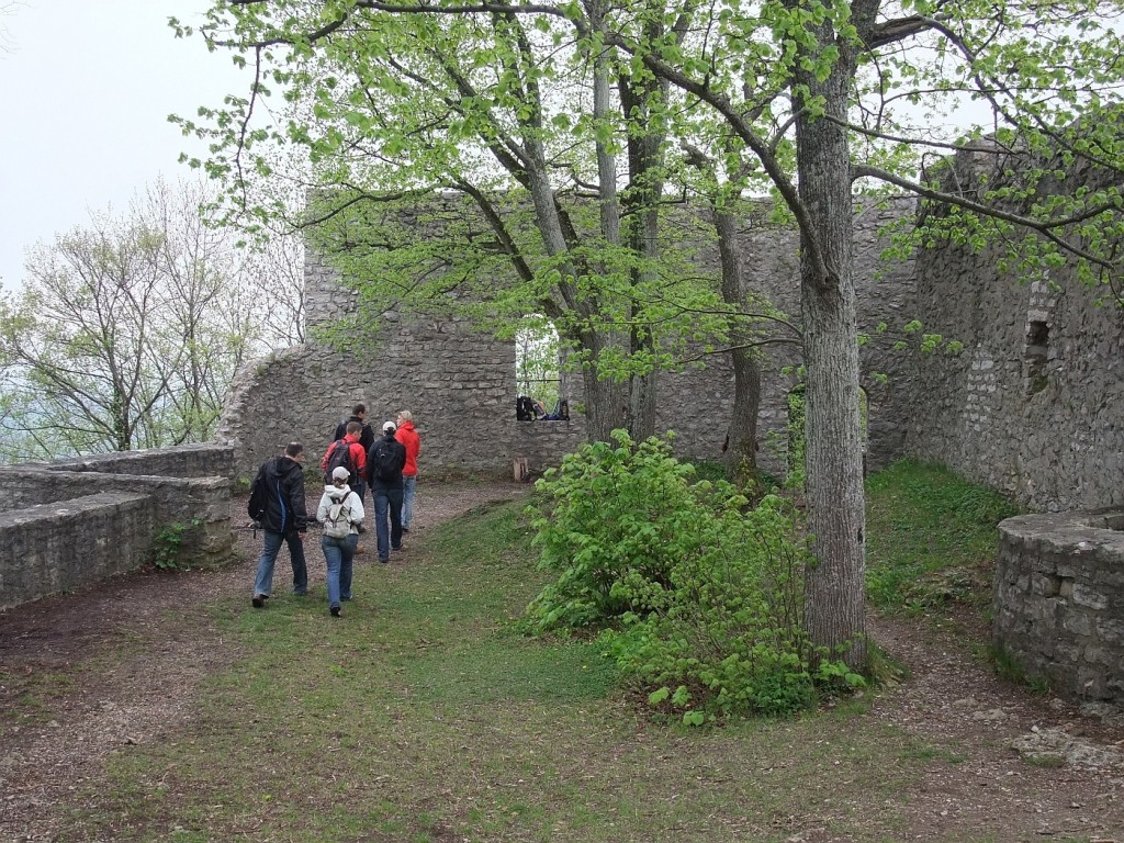 burgruine-rauber