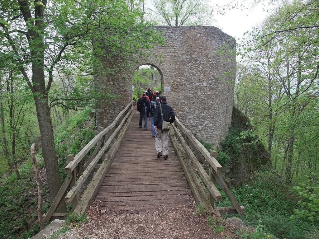burg rauber