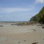 Alexandra Beach Cape Tribulation