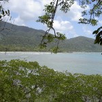 Cape Tribulation Thornton Beach