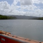 Daintree River