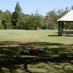 Noosa Park