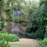 Millaa Millaa Falls