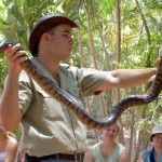 Townsville Billabong Sanctuary - Tierwärter mit Schlange
