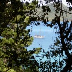 Whitsunday Islands Sailing Cruise - Blick auf Schiff von Insel