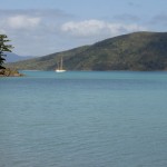 Whitsunday Islands Sailing Cruise - Unbekannte Insel