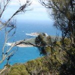 Wilsons Promontory NP Aussicht