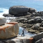 Wilsons Promontory Tongue Point