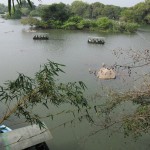 Ranganthittu Bird Sanctuary