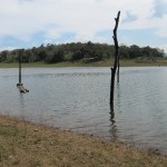 periyar-national-park camp